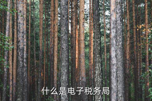 國稅網(wǎng)廳是什么意思，什么是電子稅務(wù)局