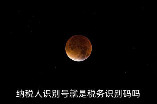 稅務(wù)標(biāo)識(shí)符是什么意思，納稅人識(shí)別碼是什么
