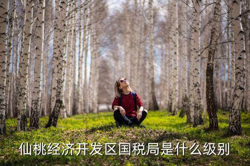 仙桃稅務(wù)局局長是什么級別，仙桃經(jīng)濟(jì)開發(fā)區(qū)國稅局是什么級別