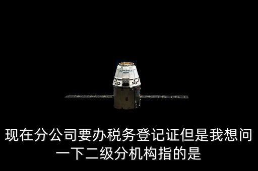 現(xiàn)在分公司要辦稅務(wù)登記證但是我想問(wèn)一下二級(jí)分機(jī)構(gòu)指的是