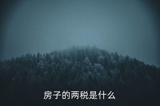 兩稅清查是指什么，房子的兩稅是什么