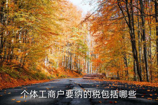 個(gè)體戶需要交什么稅，個(gè)體工商戶需要鈉哪些稅呢