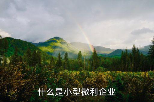什么叫小型微利企業(yè)，什么是小型微利企業(yè)