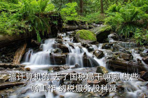 自動(dòng)化進(jìn)國(guó)稅局做什么，國(guó)稅是做什么工作的