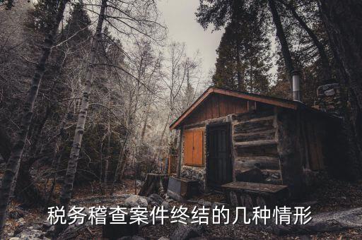 什么是稽查結(jié)案，稅務(wù)稽查案件終結(jié)的幾種情形