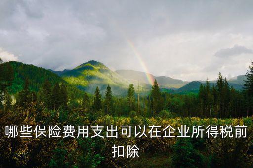什么保險(xiǎn)可以稅前扣除，哪些保險(xiǎn)費(fèi)用支出可以在企業(yè)所得稅前扣除