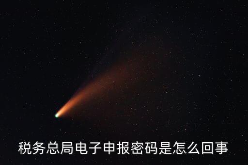 電子稅務默認登錄密碼是什么意思，稅務局網(wǎng)站的登入賬戶初始密碼是什么