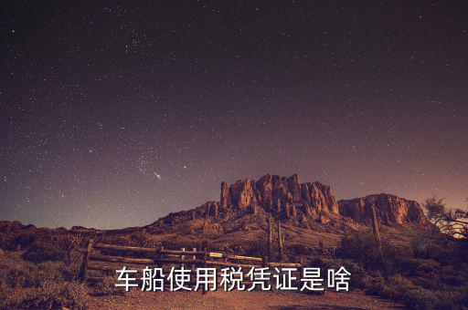 車船稅繳納憑證是什么意思，車船使用稅憑證是啥