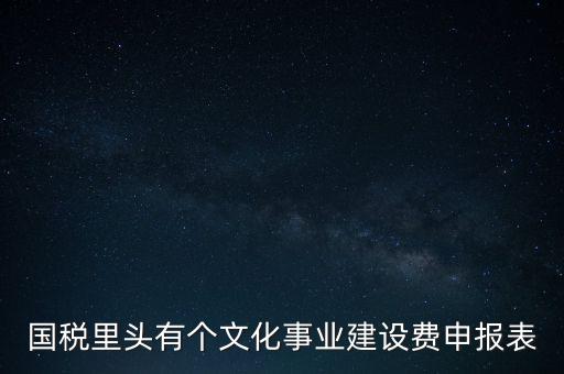 國稅里頭有個文化事業(yè)建設(shè)費(fèi)申報表