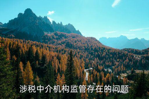 社會(huì)組織涉稅方面有什么問(wèn)題，涉稅中介機(jī)構(gòu)監(jiān)管存在的問(wèn)題