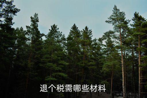 退抵稅需要什么，退抵稅款申請需要什么資料