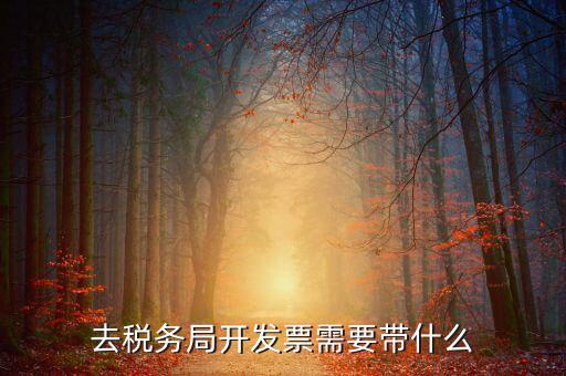 開票需要會(huì)什么手續(xù)，開發(fā)票的具體流程