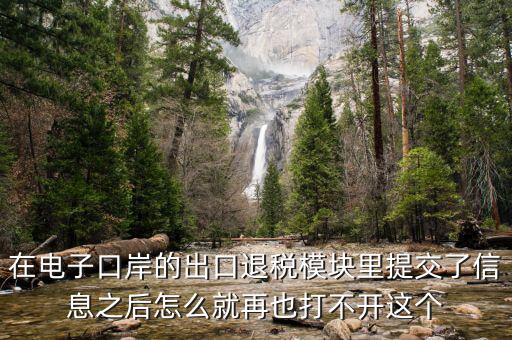 為什么退稅平臺進(jìn)不去，在電子口岸的出口退稅模塊里提交了信息之后怎么就再也打不開這個(gè)