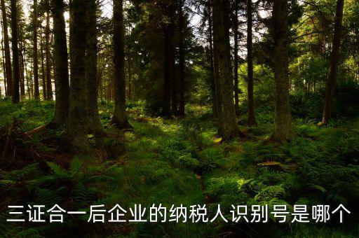 三證合一的納稅人識別號是什么，三證合一后企業(yè)的納稅人識別號是哪個
