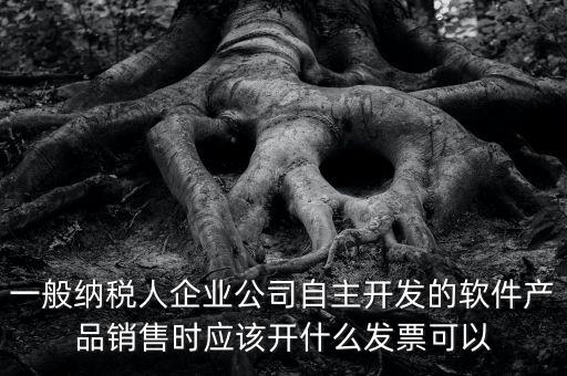 賣軟件交什么稅，一般納稅人企業(yè)公司自主開(kāi)發(fā)的軟件產(chǎn)品銷售時(shí)應(yīng)該開(kāi)什么發(fā)票可以
