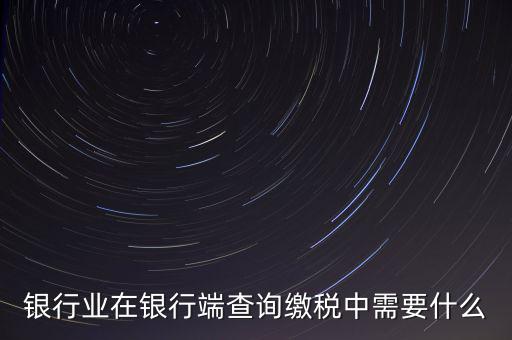 銀行端查詢繳稅要帶些什么，銀行業(yè)在銀行端查詢繳稅中需要什么