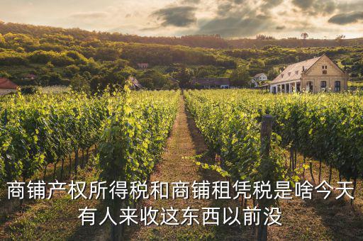什么是商鋪租賃稅，商鋪出租應交哪些稅