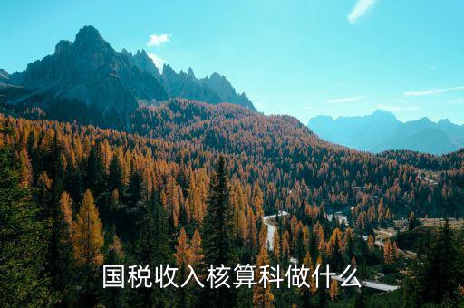 收入規(guī)劃核算處做什么的，收入核算是做什么的