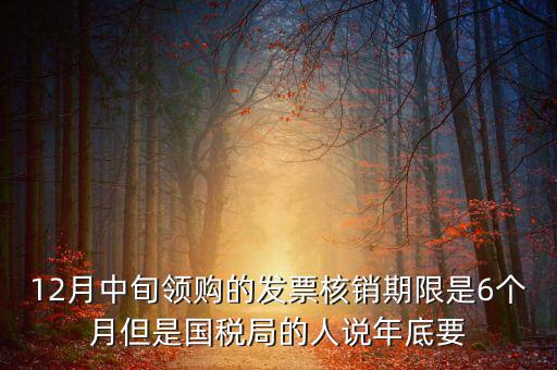 12月中旬領(lǐng)購(gòu)的發(fā)票核銷期限是6個(gè)月但是國(guó)稅局的人說年底要