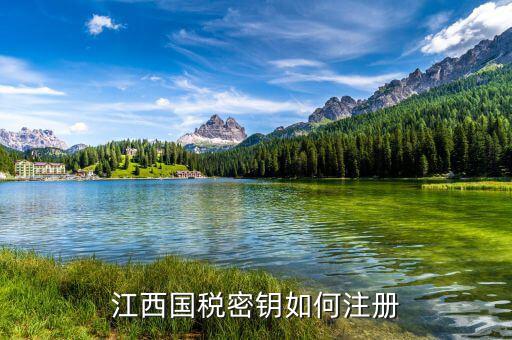江西國(guó)稅密鑰是什么意思，為啥江西國(guó)稅的CA密鑰總是裝不成功