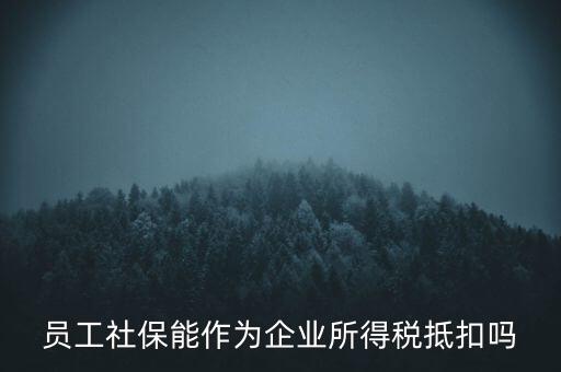 企業(yè)社?？梢缘质裁炊?，員工社保能作為企業(yè)所得稅抵扣嗎
