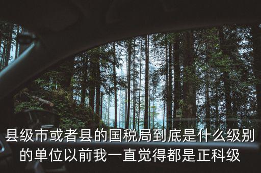 縣國稅局辦稅服務(wù)廳主任是什么級別，縣地稅局辦公室主任是什么行政級別