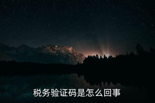 網(wǎng)上稅務(wù)局下載碼是什么意思，湖北省電子稅務(wù)局下載uk驅(qū)動(dòng)二維碼是什么意思