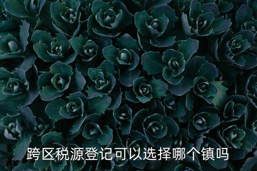 跨區(qū)稅源登記是什么，跨區(qū)稅源登記能否登記為一般納稅人