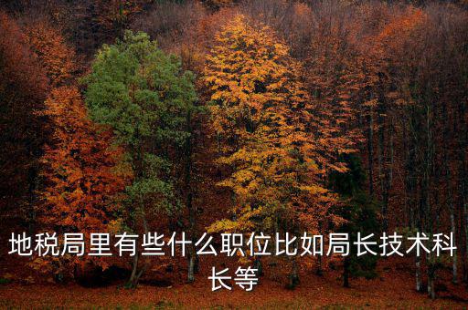 地稅局有什么委員，地級(jí)市稅務(wù)局辦公室副主任屬什么級(jí)別的官員