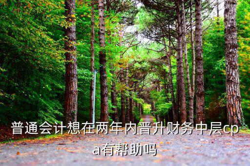 國稅有什么升職路線，普通會計想在兩年內晉升財務中層cpa有幫助嗎