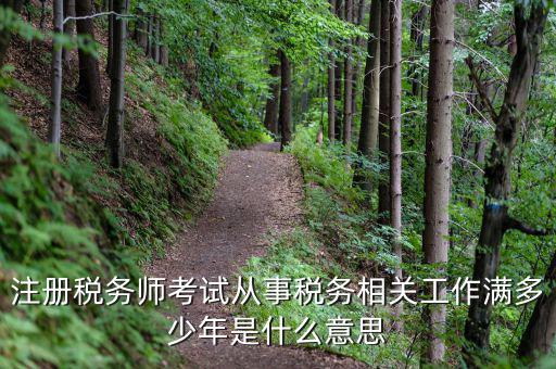 稅務(wù)從業(yè)人數(shù)是什么意思，請(qǐng)問稅務(wù)自查表中的查 數(shù)是什么意思急