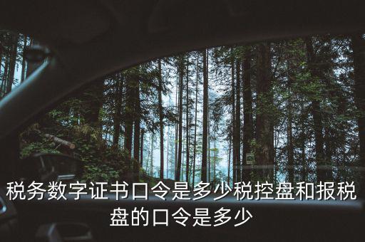 國稅證書口令是什么，我想問下國家稅務(wù)網(wǎng)上申報點擊安全登錄時出現(xiàn)的用戶口令是什么