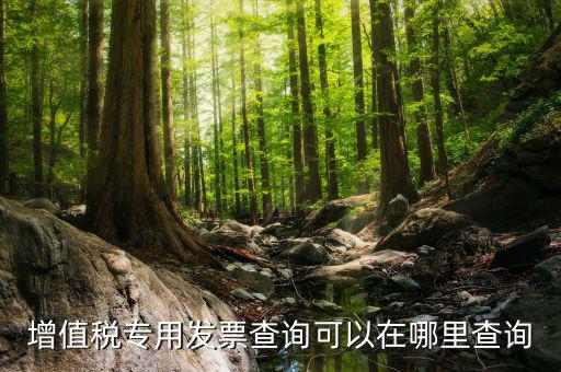 什么地方可以查發(fā)票內(nèi)容，怎樣通過發(fā)票號碼查尋發(fā)票內(nèi)容