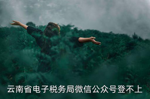 為什么云南省國家稅務(wù)局進(jìn)不去，云南省電子稅務(wù)局微信公眾號登不上