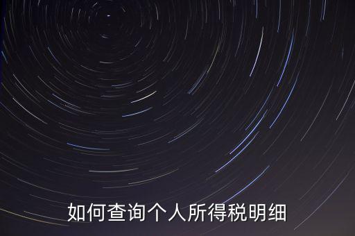 如何查詢(xún)個(gè)人所得稅明細(xì)