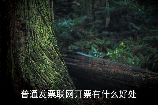 普通網(wǎng)絡發(fā)票有什么用，開普通發(fā)票網(wǎng)絡受理號有什么作用