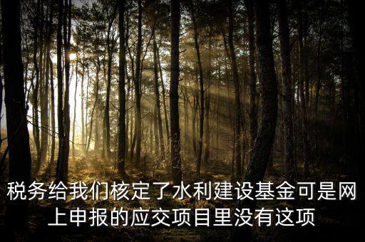 為什么水利建設(shè)無法申報(bào)，地稅電子稅務(wù)局的水利基金下滑找不到申報(bào)怎么辦