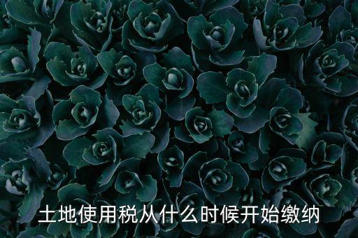 土地使用稅什么時(shí)候開(kāi)始交，什么時(shí)候開(kāi)始繳納房產(chǎn)稅和土地使用稅是否都要繳納