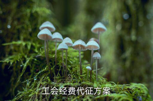 工會經(jīng)費為什么委托稅務機關代征，工會經(jīng)費交地稅局是怎么回事