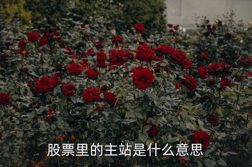 預(yù)控主站票是什么，股票里的主站是什么意思