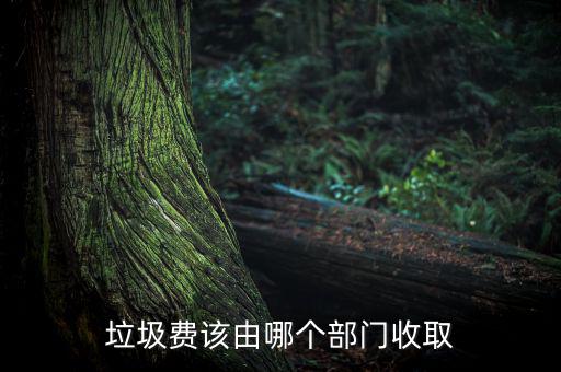 垃圾費(fèi)該由哪個部門收取