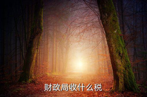 財(cái)政局征收什么稅，現(xiàn)行由財(cái)政機(jī)關(guān)征收的稅收有哪些拜托各位大神