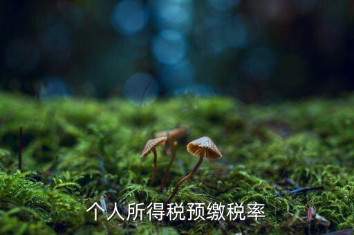 什么是個人所得稅預(yù)征率，個人所得稅預(yù)扣預(yù)繳是什么意思