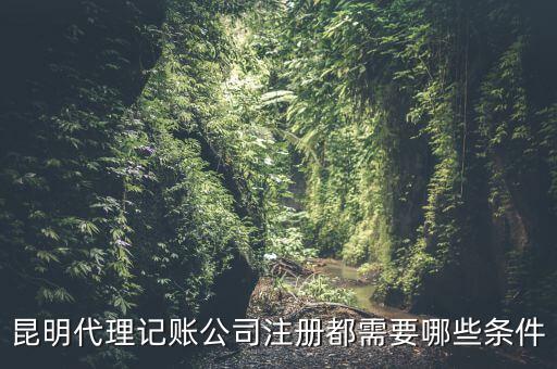 昆明報(bào)稅要什么條件，httpswwwkmgsgovcn 我是一個(gè)新客戶要怎樣才能進(jìn)入昆明國稅局
