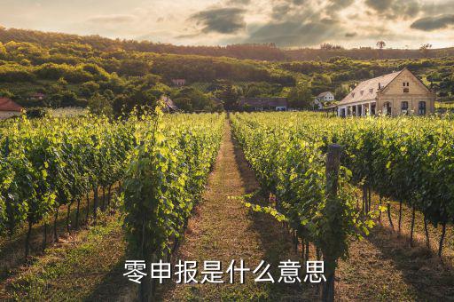 免于零申報什么意思，免于零申報是什么意思