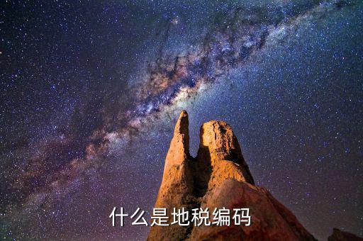 地稅編碼是什么意思，什么是地稅編碼