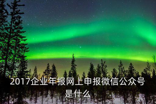 企業(yè)申報(bào)客戶(hù)端是什么意思，2017企業(yè)年報(bào)網(wǎng)上申報(bào)微信公眾號(hào)是什么