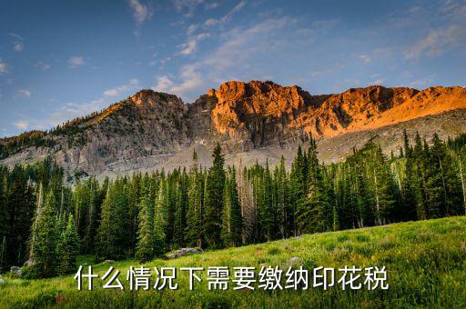 什么需要交印花稅，哪些企業(yè)和個人需要交納印花稅的
