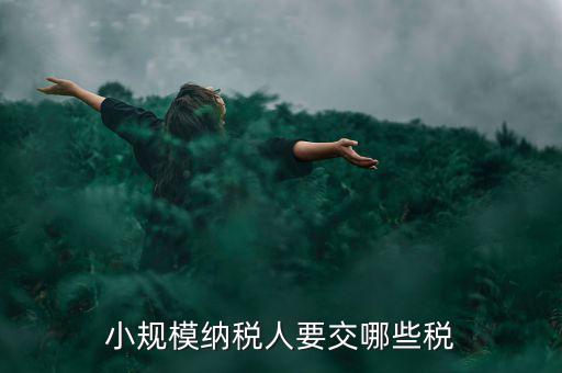 小規(guī)模納稅人報(bào)什么稅，小規(guī)模納稅人要交哪些稅