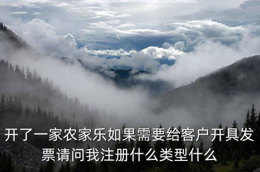 我要是以開普票為主 注冊什么性質的公司好，開了一家農(nóng)家樂如果需要給客戶開具發(fā)票請問我注冊什么類型什么